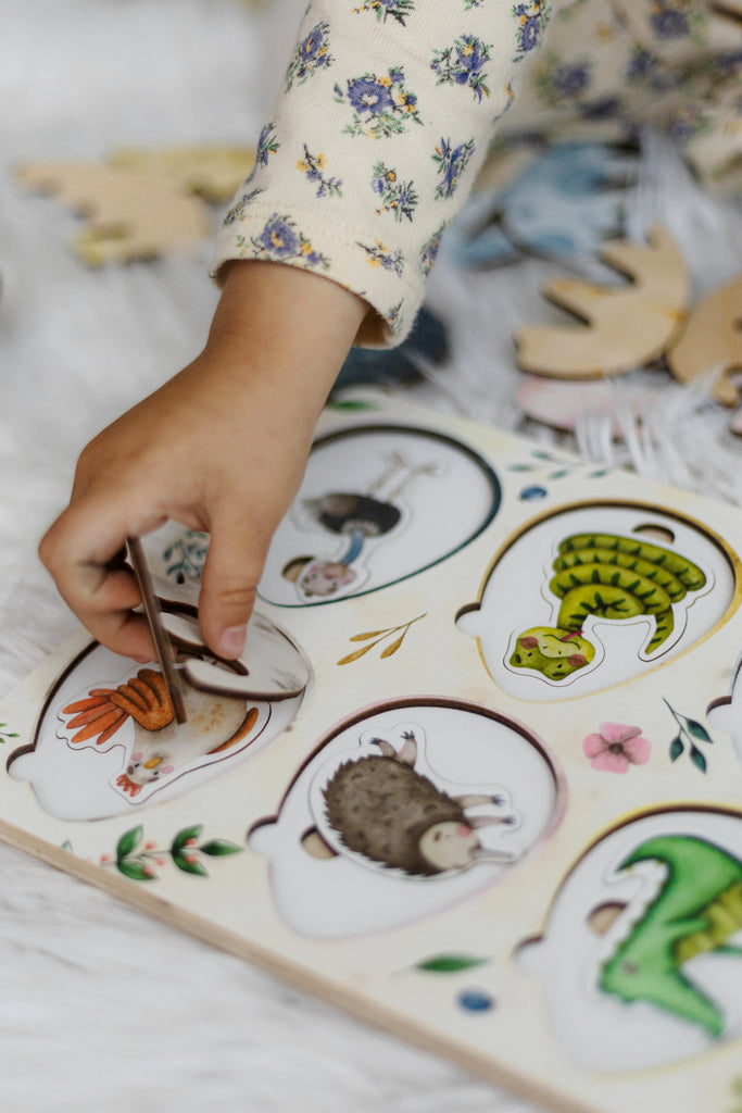 montessori educational toys