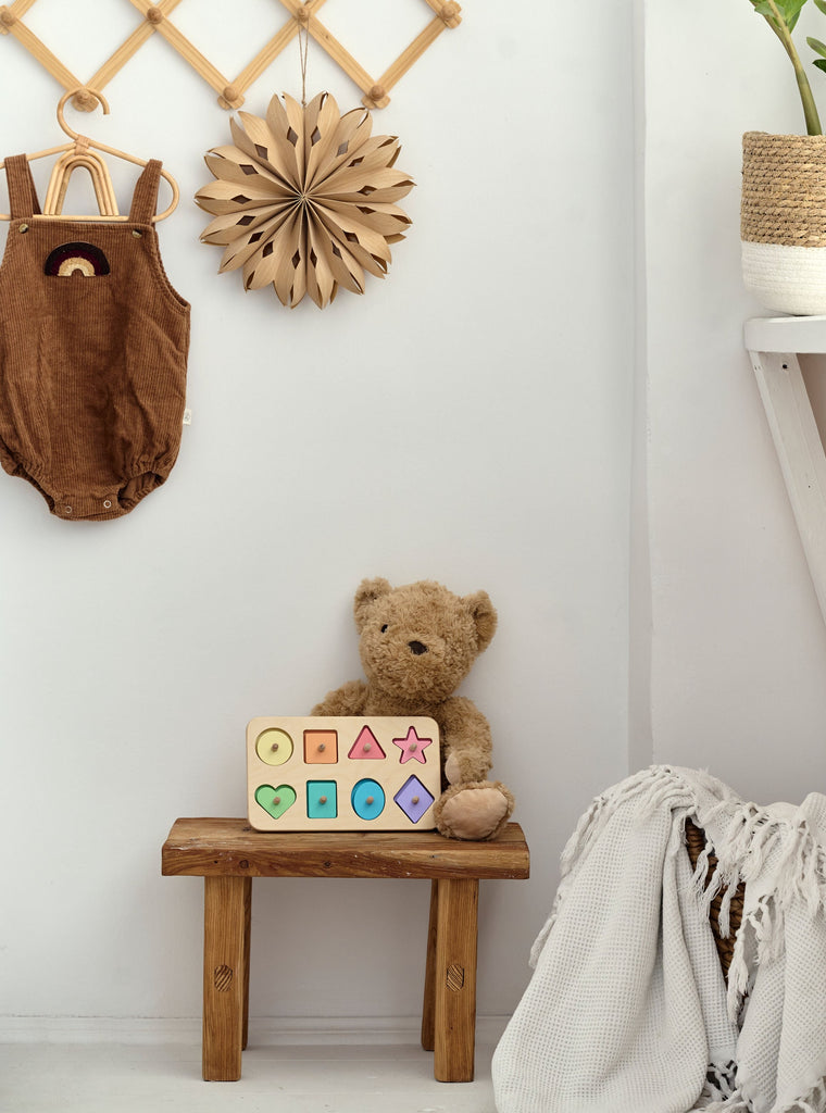 Sorting Board Geometric Figures